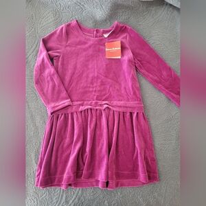 NWT Hanna Andersson Velour Party Dress In Purple Orchid Sz 6-7